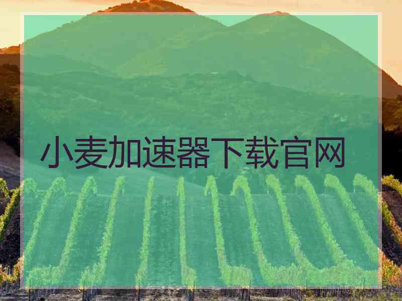 小麦加速器下载官网