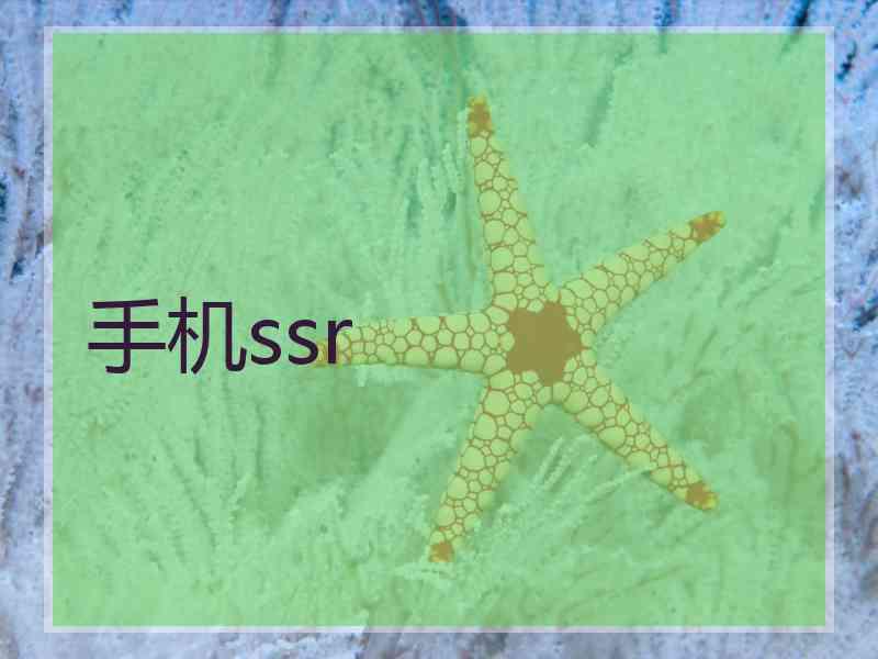 手机ssr