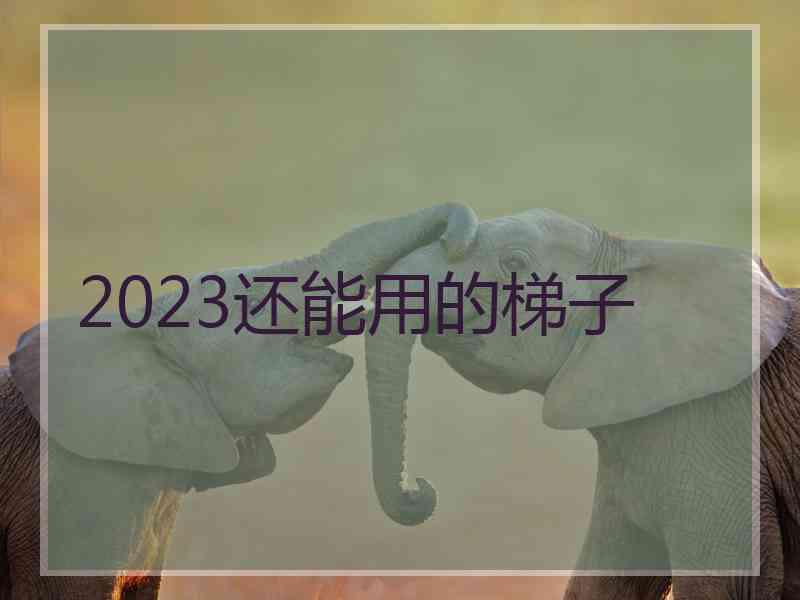 2023还能用的梯子