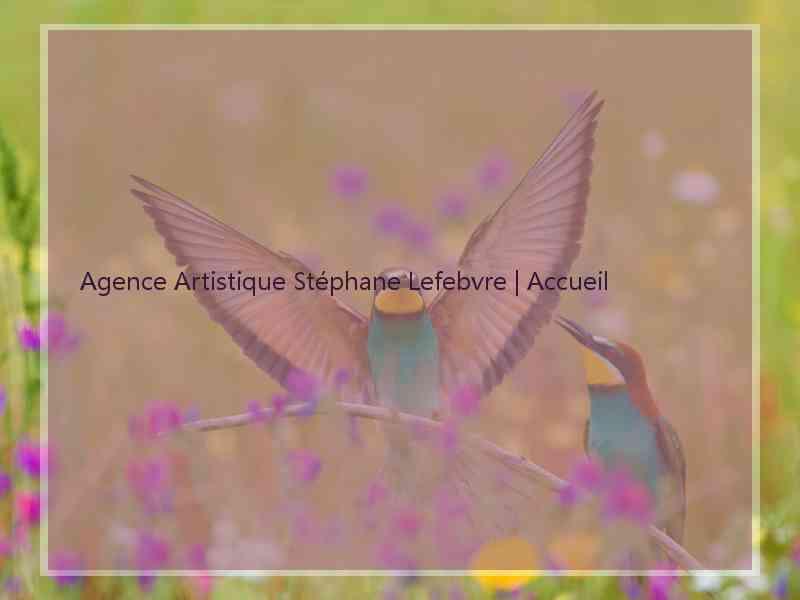 Agence Artistique Stéphane Lefebvre | Accueil