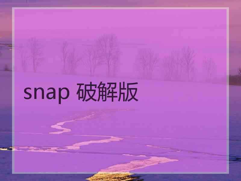 snap 破解版