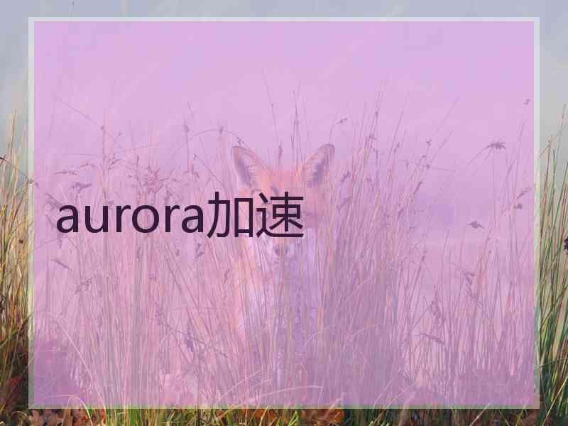 aurora加速