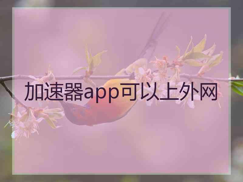 加速器app可以上外网