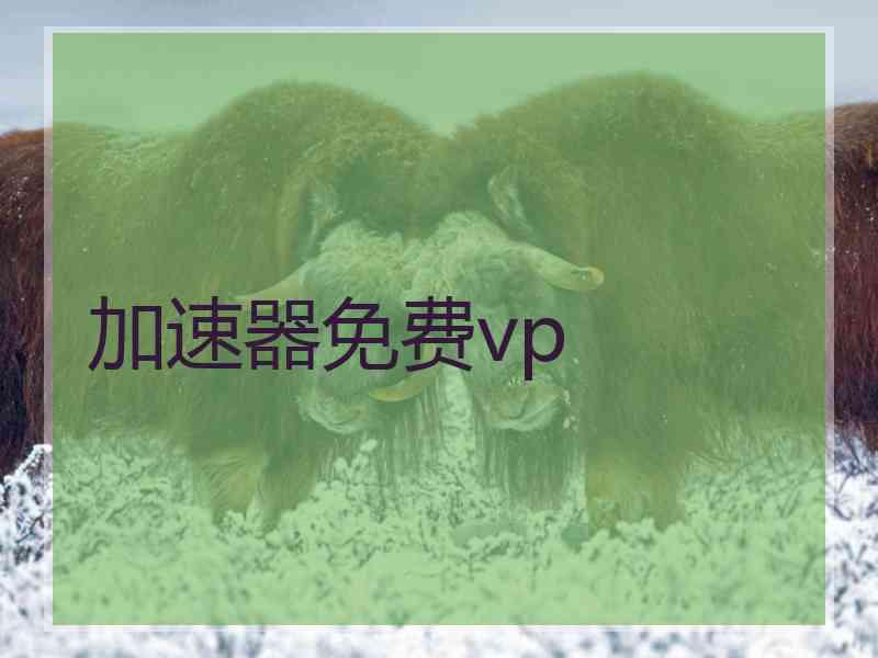 加速器免费vp