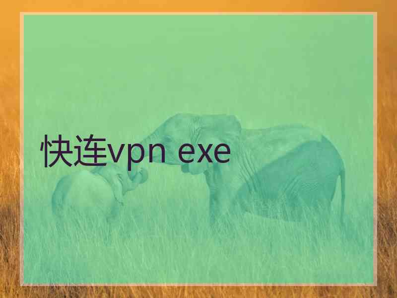 快连vpn exe