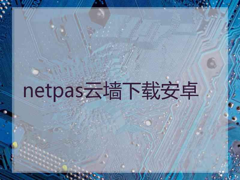 netpas云墙下载安卓