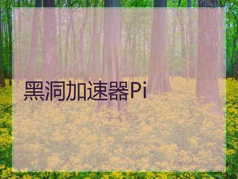 黑洞加速器Pi