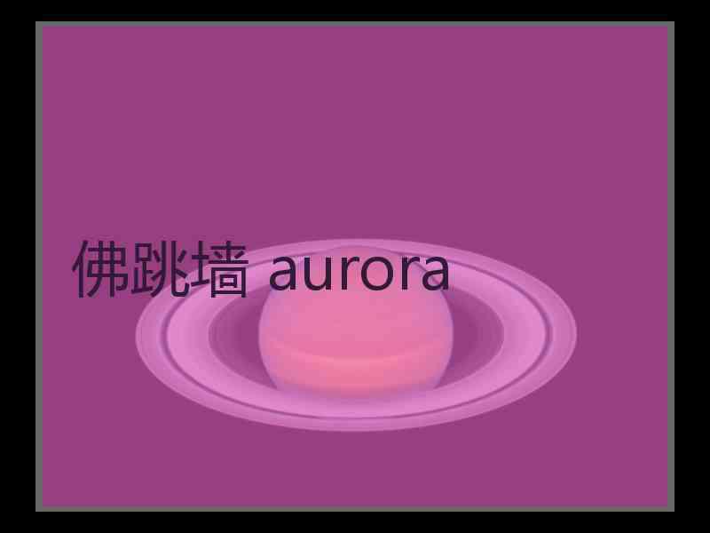 佛跳墙 aurora