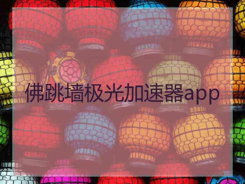 佛跳墙极光加速器app