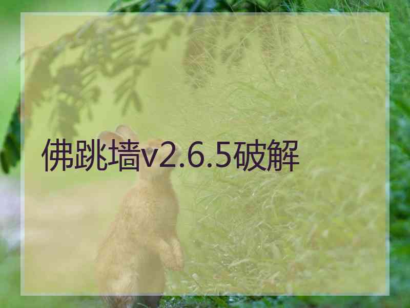 佛跳墙v2.6.5破解