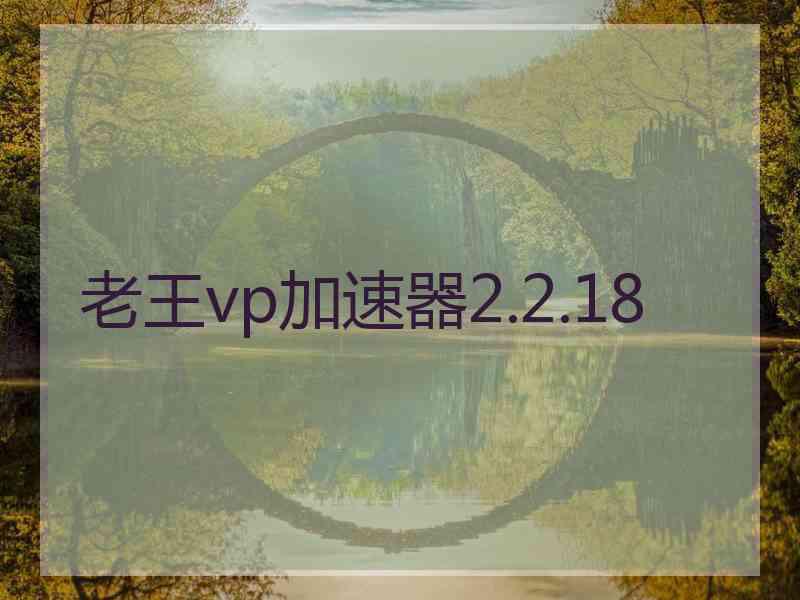 老王vp加速器2.2.18