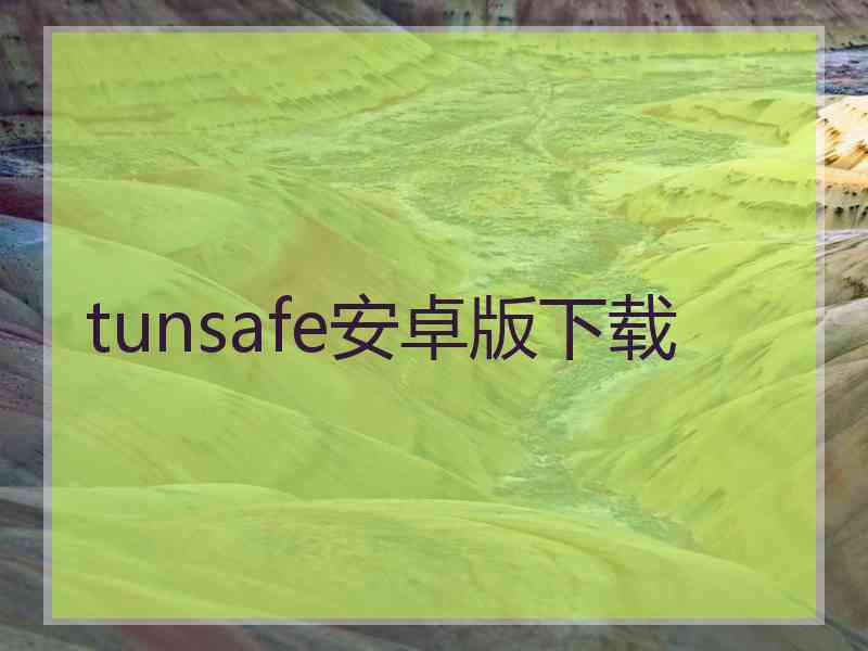 tunsafe安卓版下载