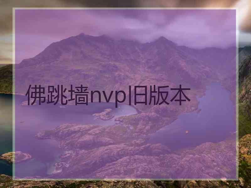 佛跳墙nvp旧版本