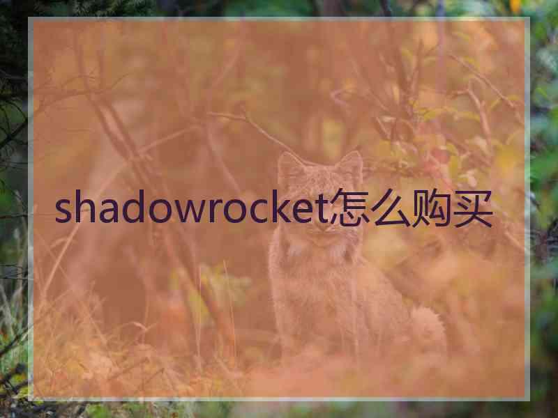 shadowrocket怎么购买