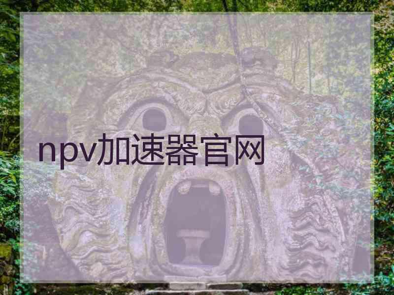 npv加速器官网