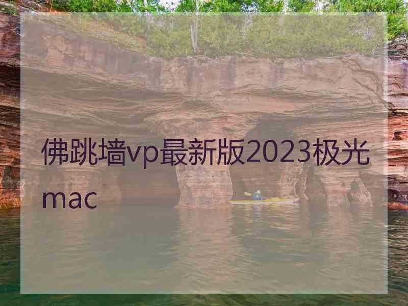 佛跳墙vp最新版2023极光 mac