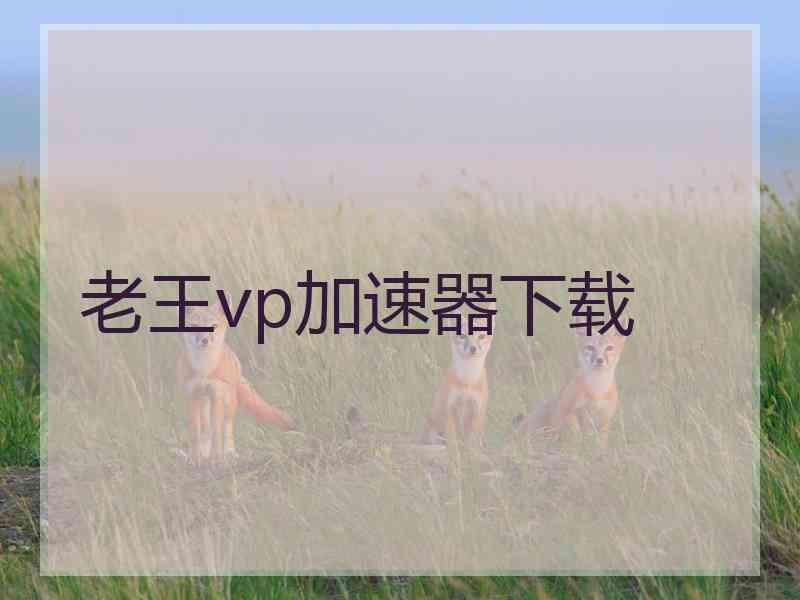 老王vp加速器下载