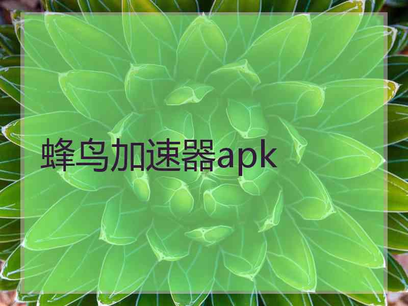 蜂鸟加速器apk