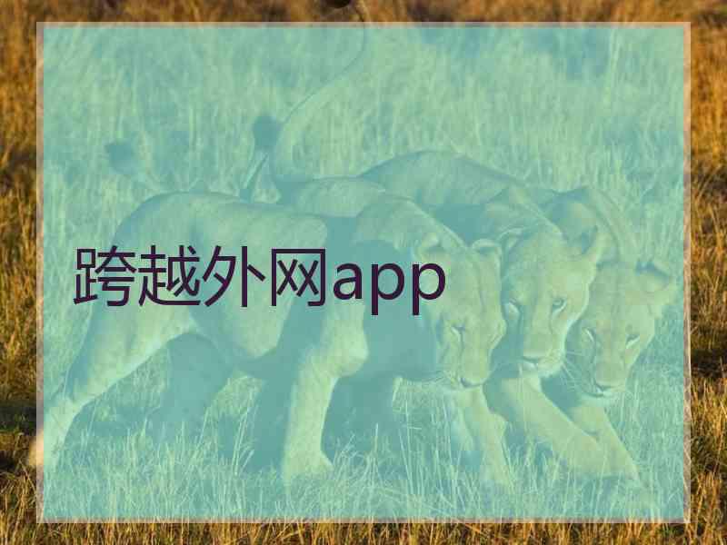 跨越外网app