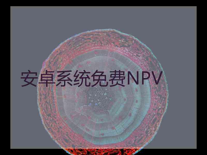 安卓系统免费NPV