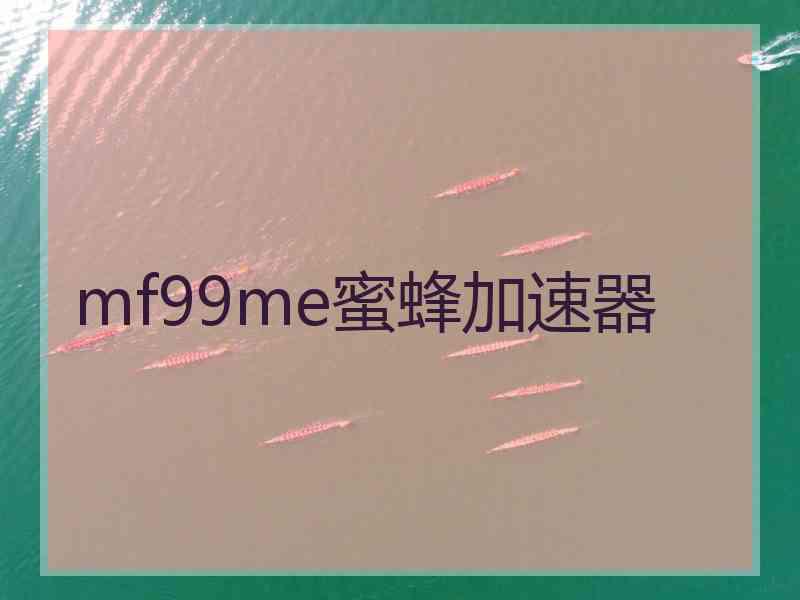 mf99me蜜蜂加速器