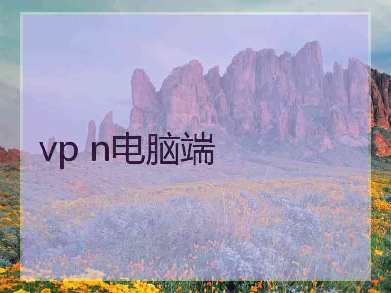 vp n电脑端