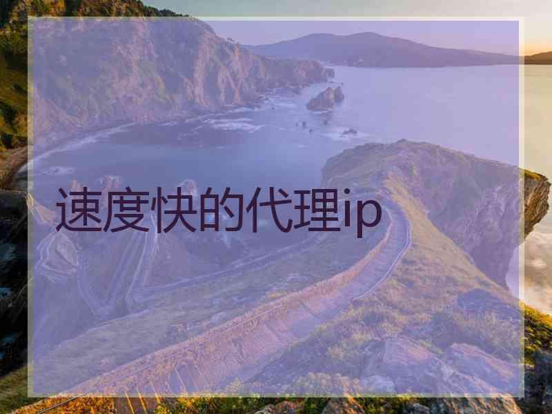 速度快的代理ip