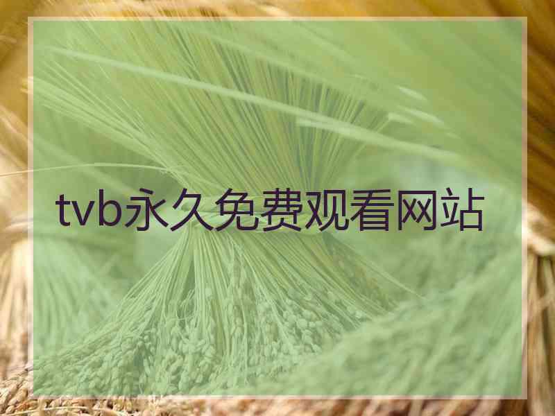 tvb永久免费观看网站