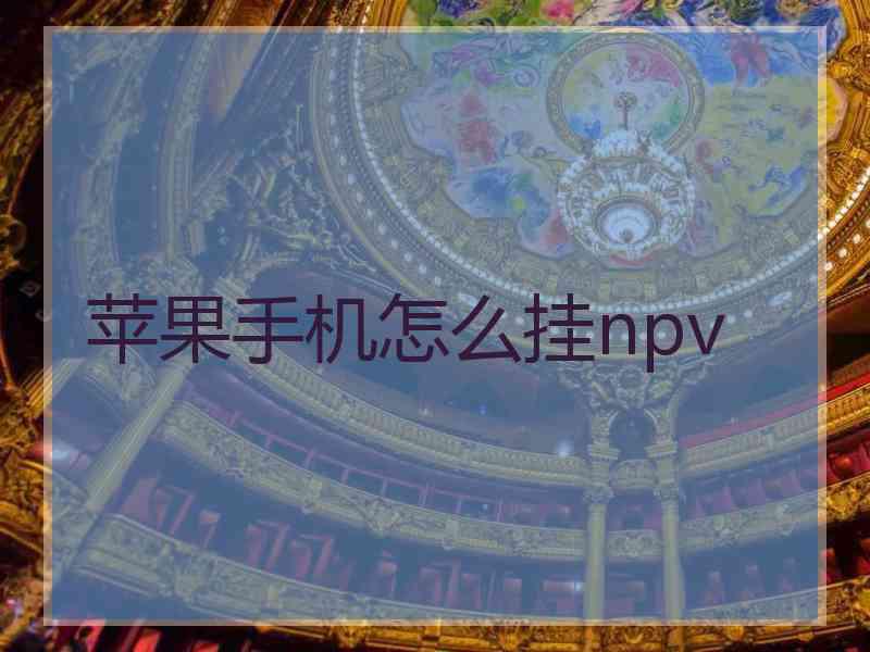 苹果手机怎么挂npv