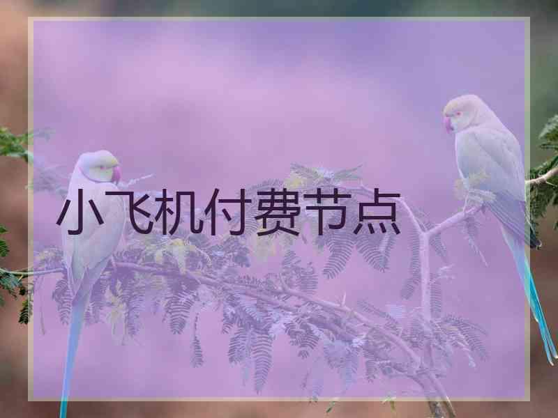 小飞机付费节点