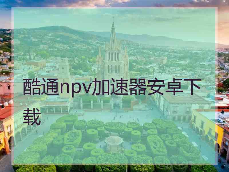 酷通npv加速器安卓下载