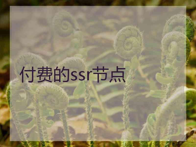 付费的ssr节点