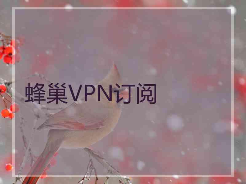 蜂巢VPN订阅