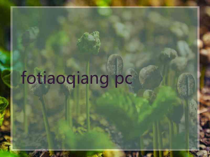 fotiaoqiang pc