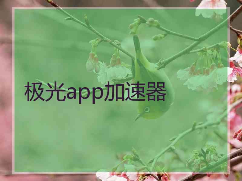 极光app加速器