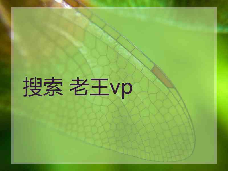 搜索 老王vp