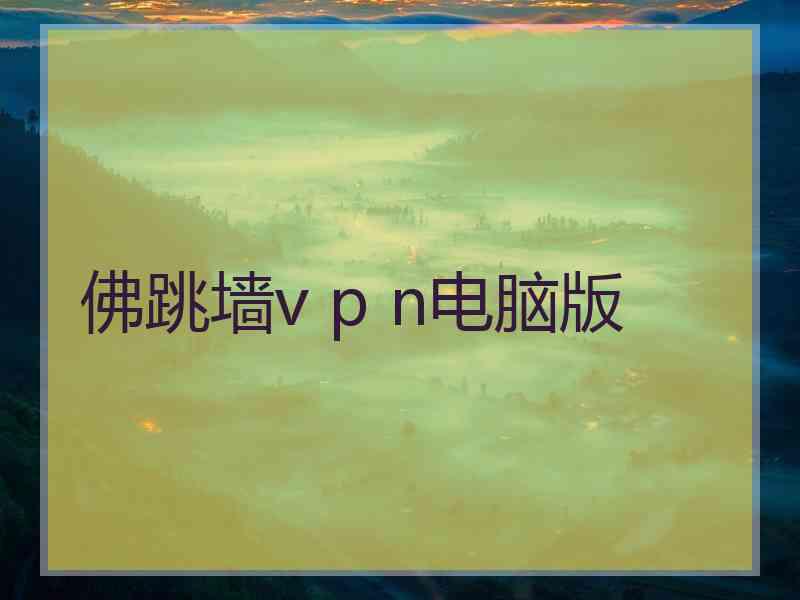 佛跳墙v p n电脑版