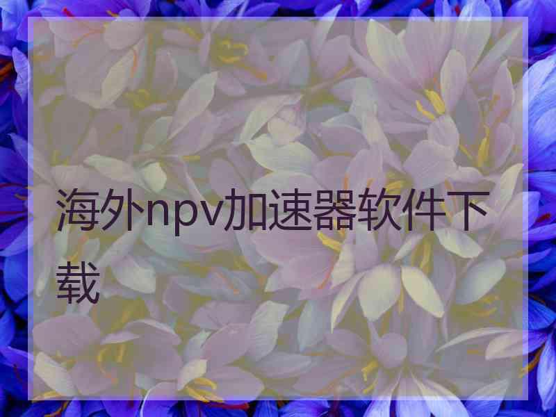 海外npv加速器软件下载