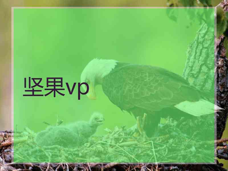 坚果vp