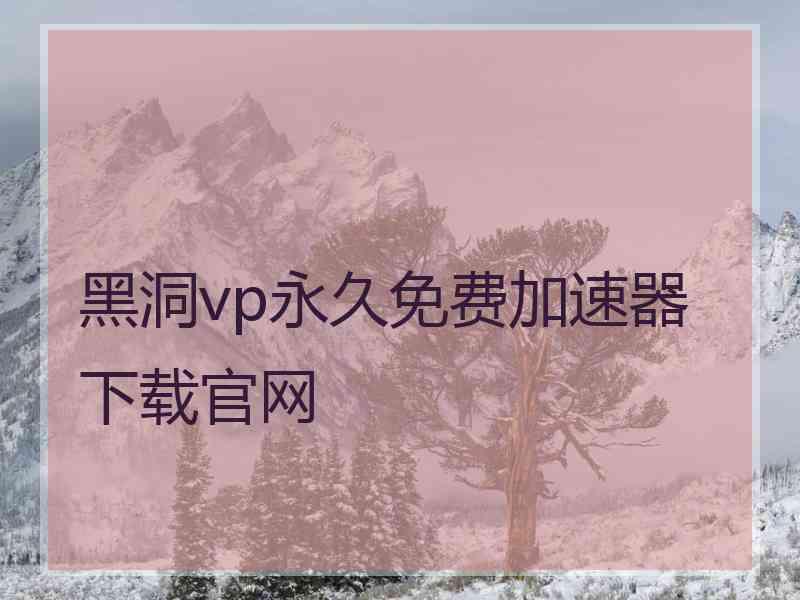 黑洞vp永久免费加速器下载官网