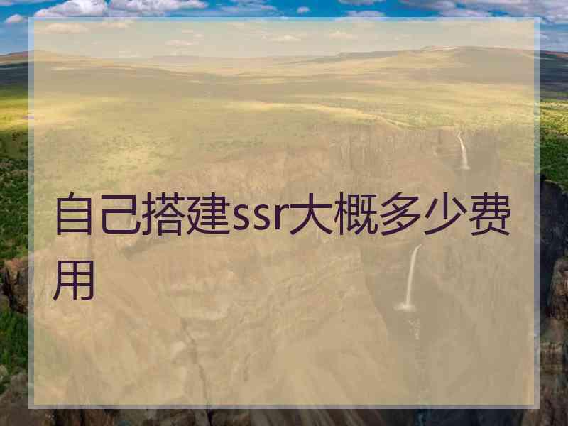 自己搭建ssr大概多少费用