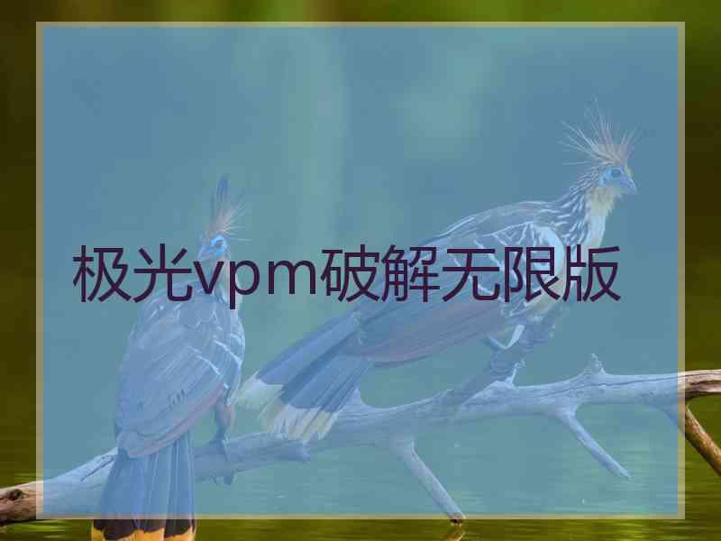 极光vpm破解无限版