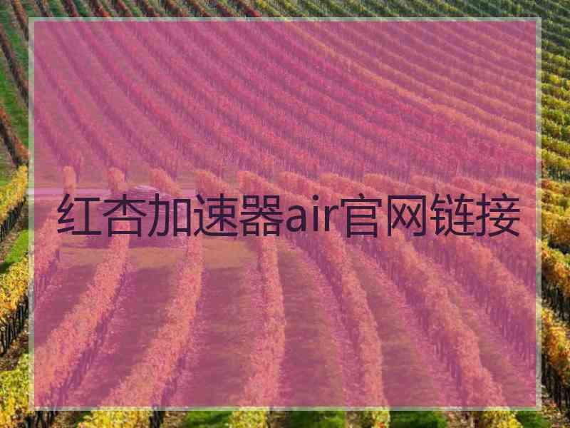 红杏加速器air官网链接