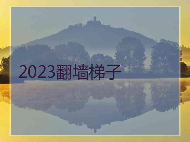 2023翻墙梯子