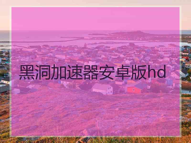 黑洞加速器安卓版hd