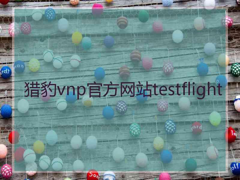 猎豹vnp官方网站testflight