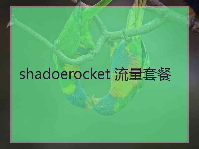 shadoerocket 流量套餐