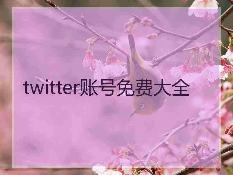 twitter账号免费大全