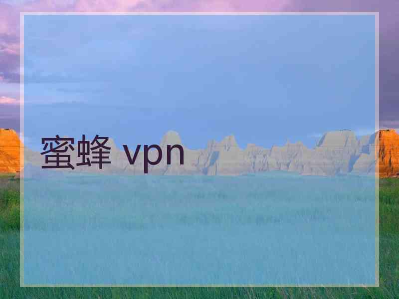 蜜蜂 vpn