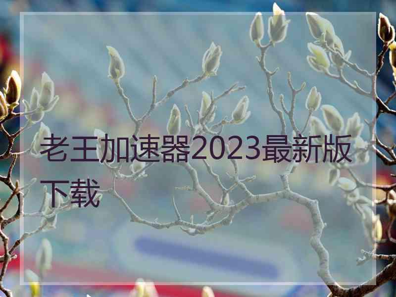 老王加速器2023最新版下载